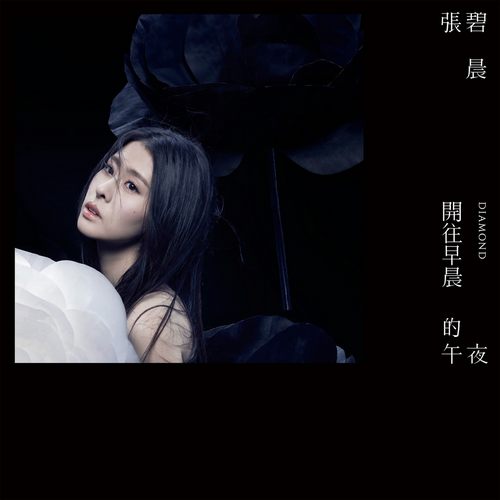 開往早晨的午夜无损音乐FLAC/WAV格式下载