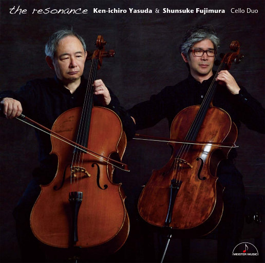 共鸣 (the resonance)