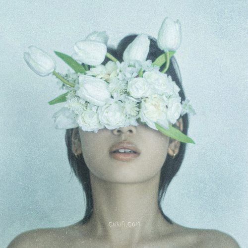 Leina - tulip无损音乐[FLAC格式]下载