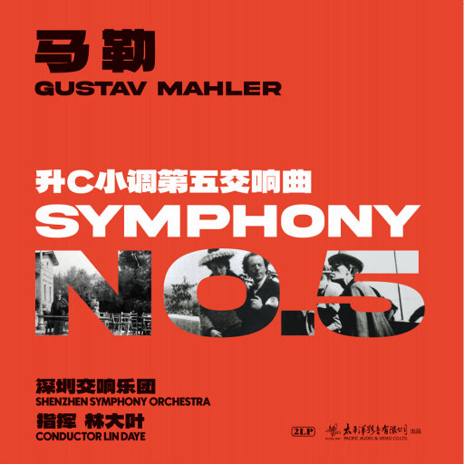 马勒升C小调第五交响曲