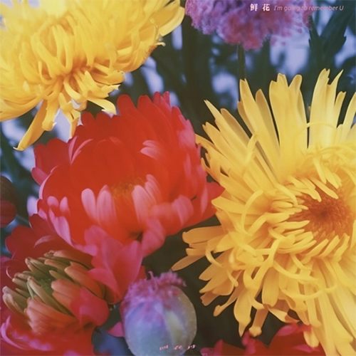 鲜花 - 回春丹无损音乐FLAC/WAV格式下载