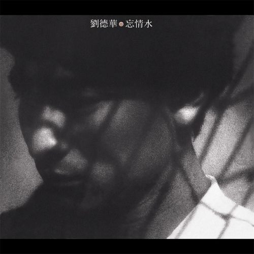 忘情水无损音乐FLAC/WAV格式下载
