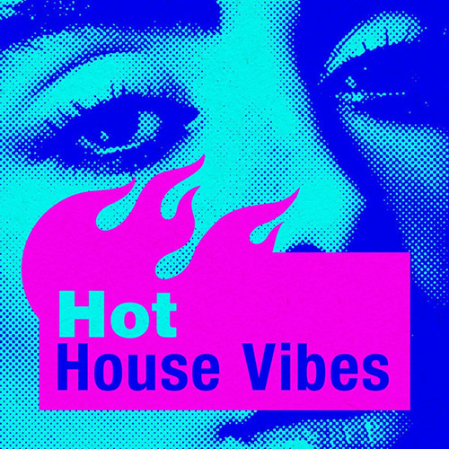[电音]Various Artists - Hot House Vibes [30曲]