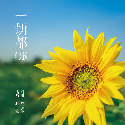 林宝 - 一起都OK